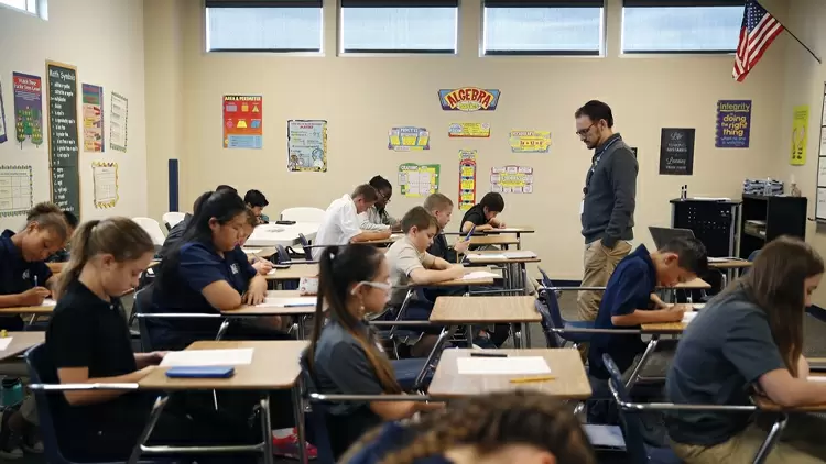 You'll make a decent teacher!