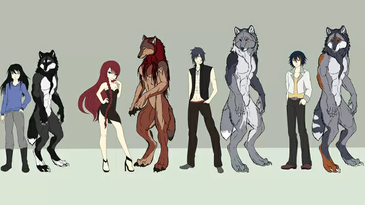 Please choose your pack.