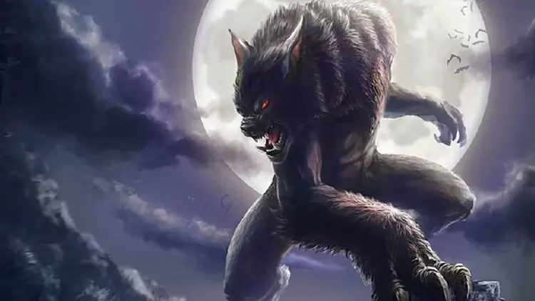 It is said that some wolves awaken special abilities, your wolf's ability is___.