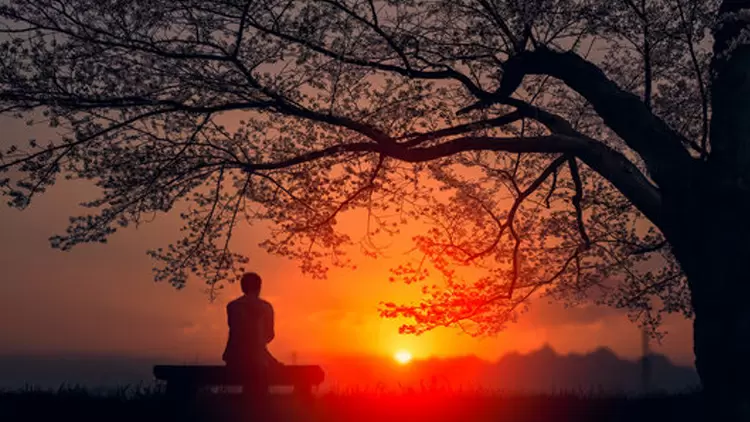 The doctor said you you have a broken bone and that performing rehabilitation exercises will require some time. This day, as you and your parents are practicing strolling through the park, you see Ralph standing beneath a nearby tree. He appears upset to see you hurt because you neglected to tell him and everyone else has heard about it. In the face of Ralph's anger, what would you tell him?