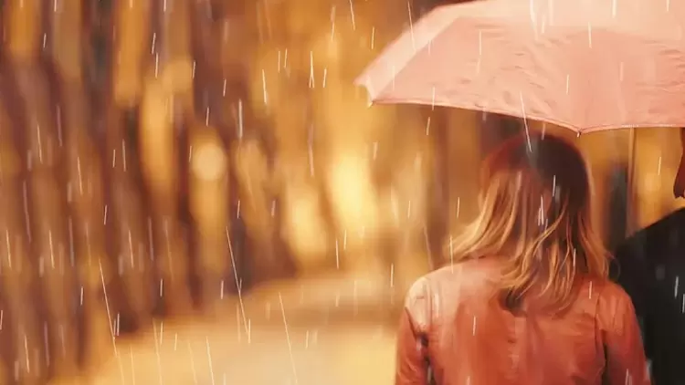 On the way home, it started to rain, and out of nowhere, Alexis appeared next to you, holding an umbrella for you. The two of you didn't say a word on the way. At this moment,you will feel: