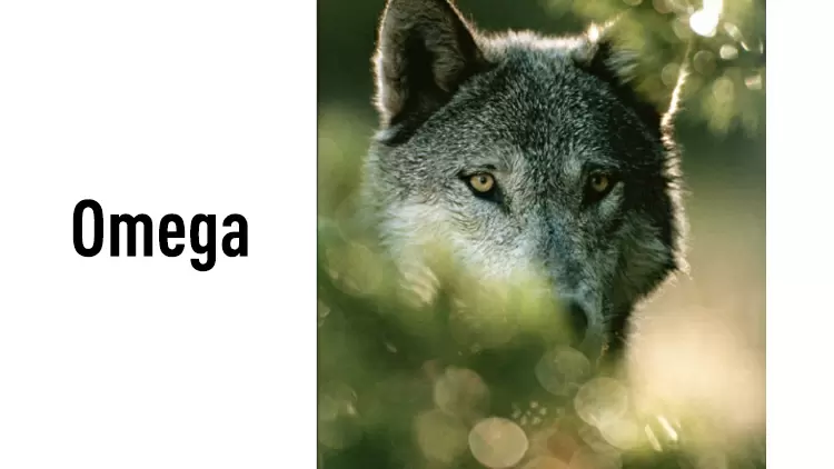 Omega