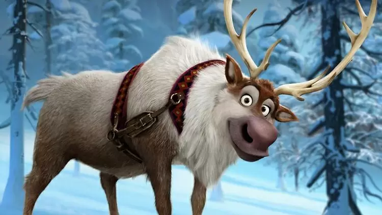 Companionable Traveler