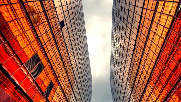 You want to find a job. Which of the following two companies would you choose?