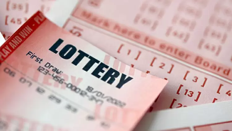 You've won a trip! Who's your plus one?