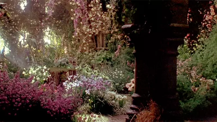 Cautious, Delicate, and Steady