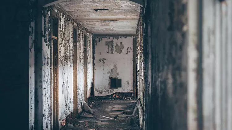 After exploring for half an hour, you realize much remains unseen. You would: