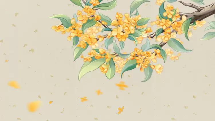 Osmanthus  
