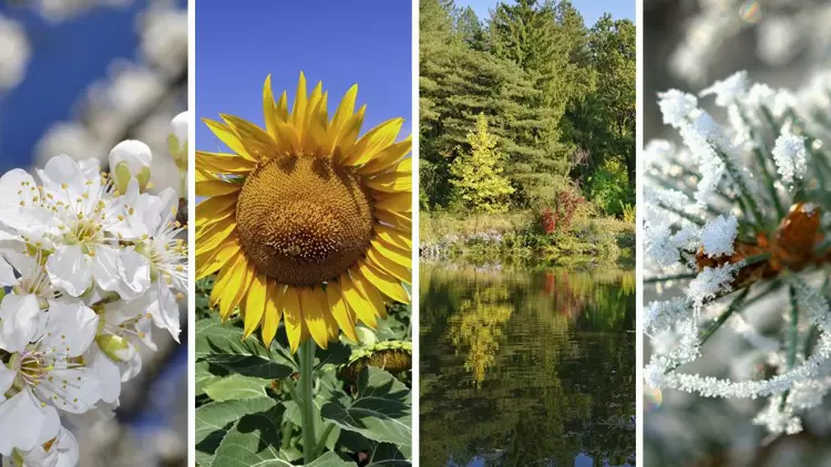 If you could control the order and duration of the seasons, what would you do?