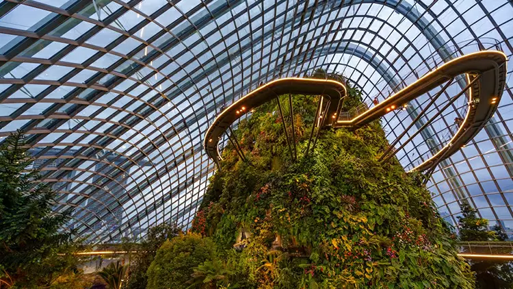 At a plant science exhibition, the exhibit that attracts you most is: