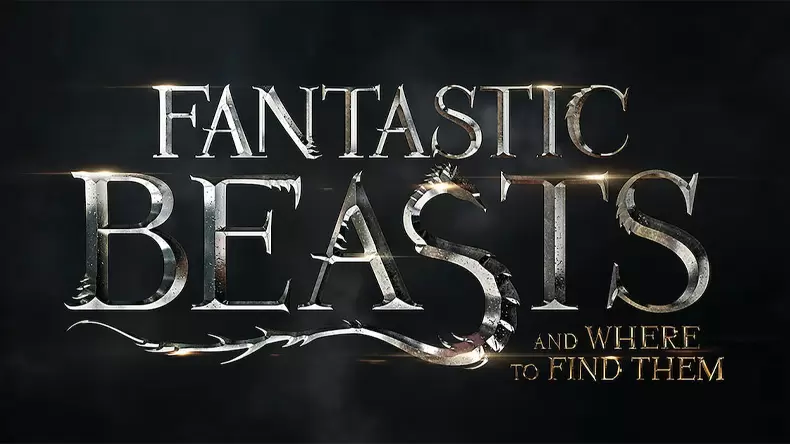 Which fantastic beasts character are you?