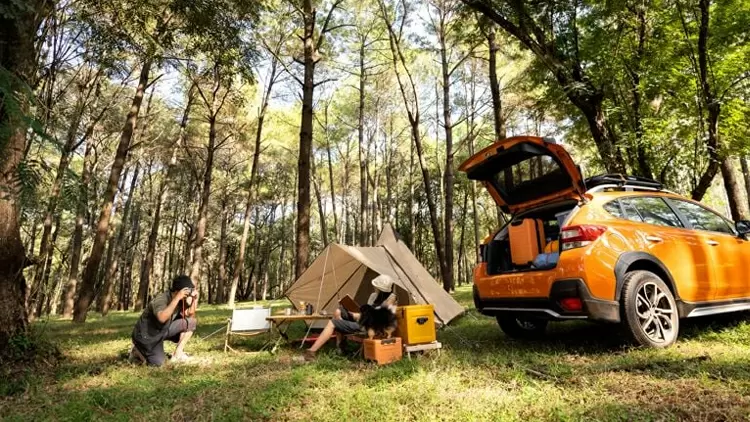 How do you feel about going camping?