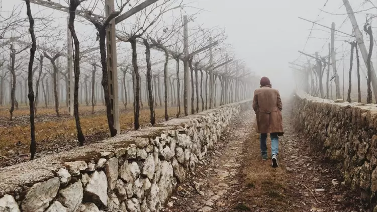 "It's smart not to rely on people because it would hurt less when they're gone." Do you agree with that?