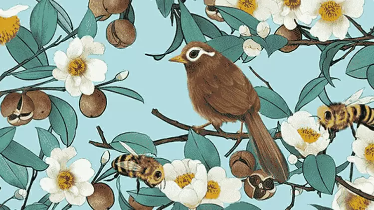 Which part of the picture do you notice first?