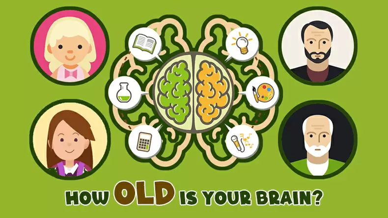 The Professional Brain Age Test: How Old is Your Brain? Quiz