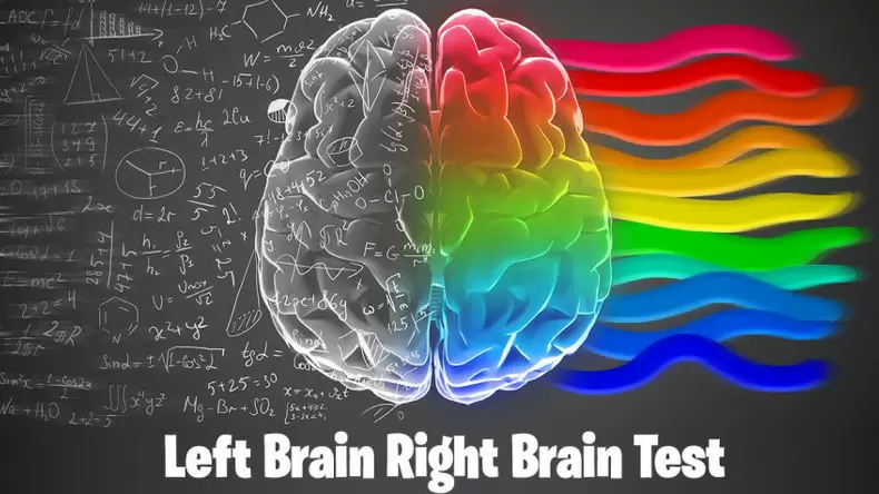 Left Brain Right Brain Test: Are you Right or Left Brained?