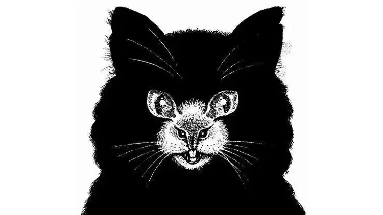 What was the first thing you saw?