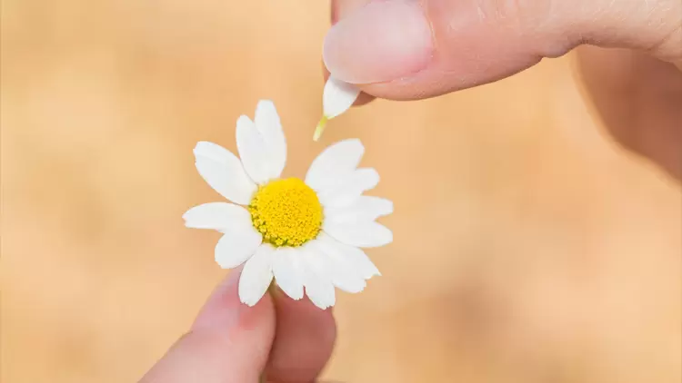 Congrats! He strongly likes you!