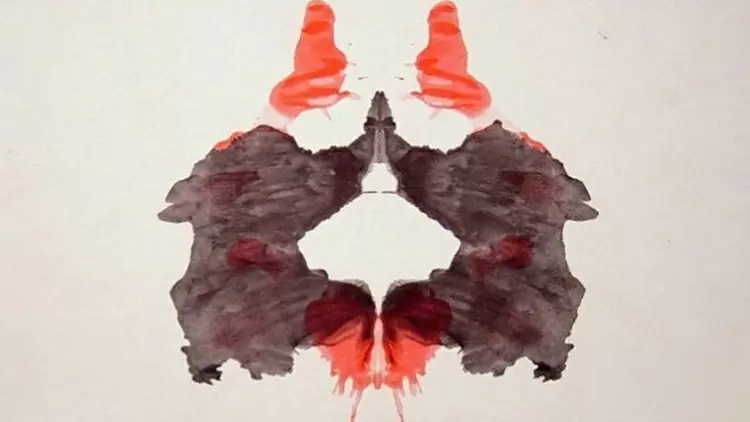 Which one is most like what you see in the picture?