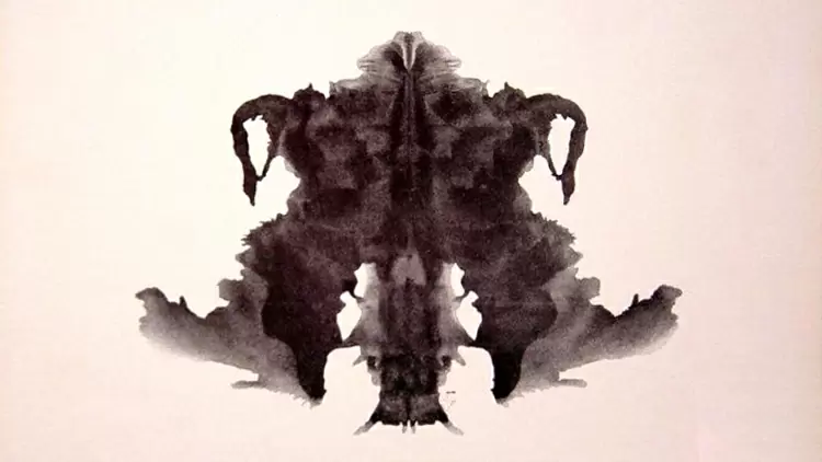 Which one is most like what you see in the picture?