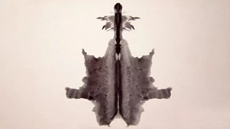 Which one is most like what you see in the picture?