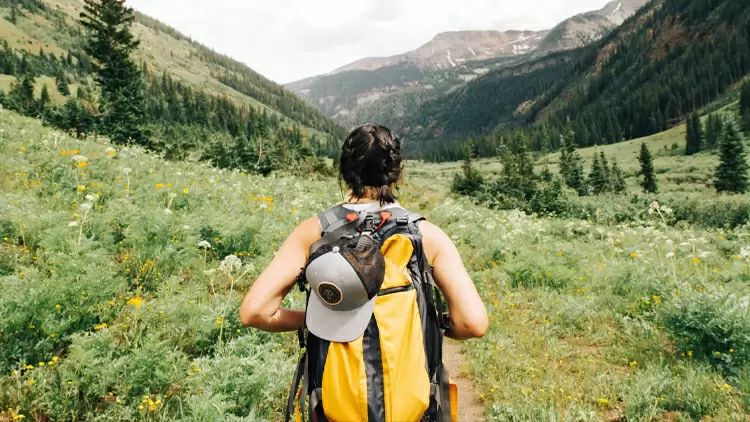 Your attitude toward trying new things is: