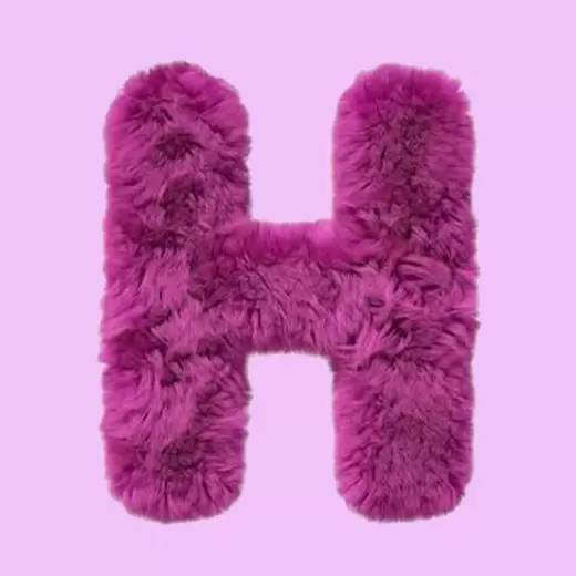 H - Your crush's name starts with H!