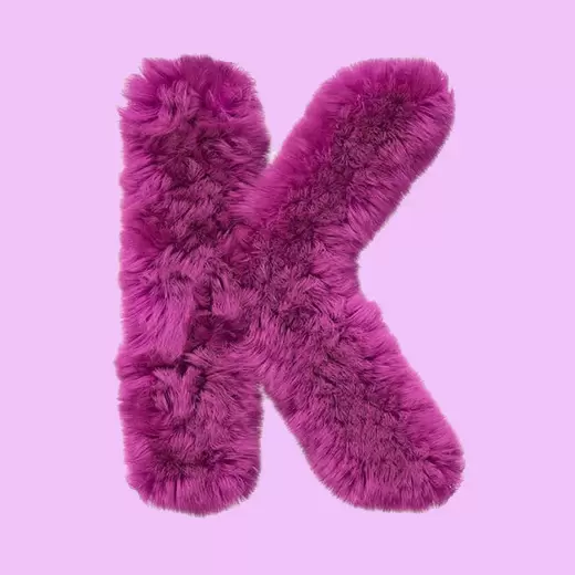 K - Your crush's name starts with K!