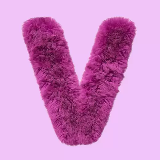 V - Your crush's name starts with V!