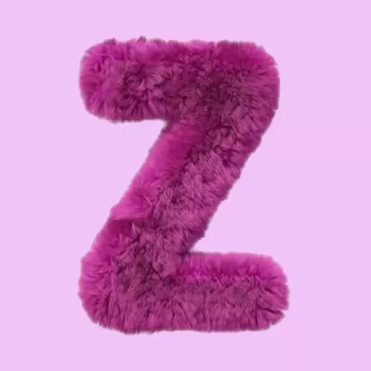 Z - Your crush's name starts with Z!