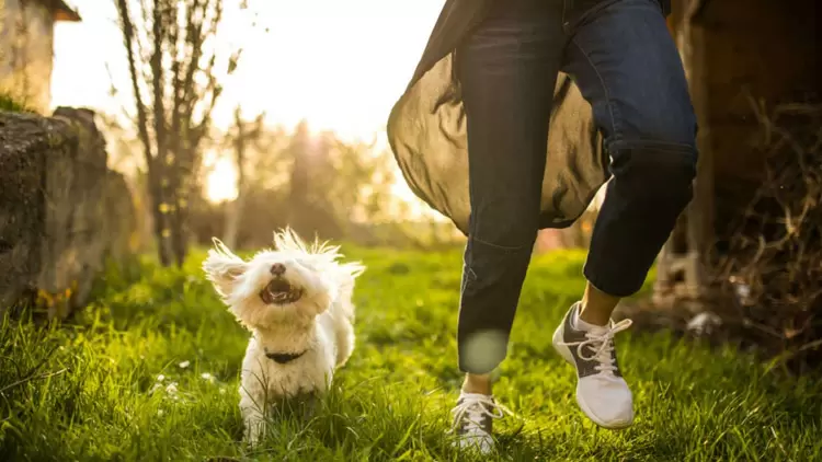 Do you prefer to spend time with animals or humans?