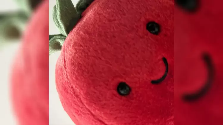 If you could have a magical backpack that produces anything you need, what would you want to take out first?  