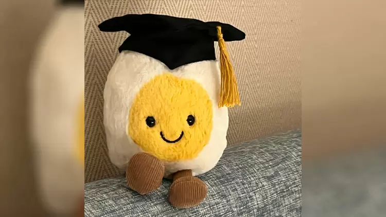 Amuseable Happy Boiled Egg