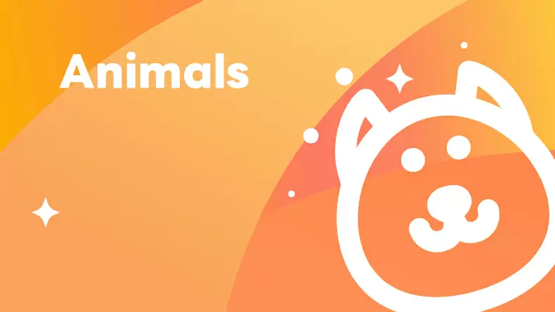 Animals